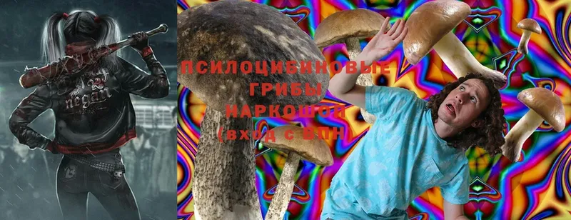 Псилоцибиновые грибы Magic Shrooms  Жердевка 